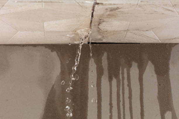 Professional Burst Pipe Cleanup technician working in Gowen, MI